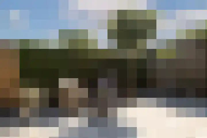 Rosmolen 4 Alphen aan den Rijn thumbnail 28