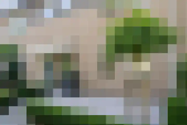 Rosmolen 4 Alphen aan den Rijn thumbnail 29