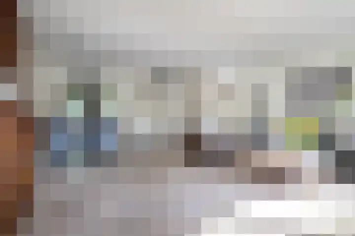 Rosmolen 4 Alphen aan den Rijn foto 3
