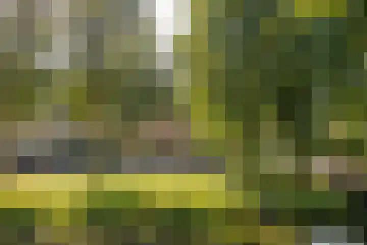 Rosmolen 4 Alphen aan den Rijn thumbnail 30