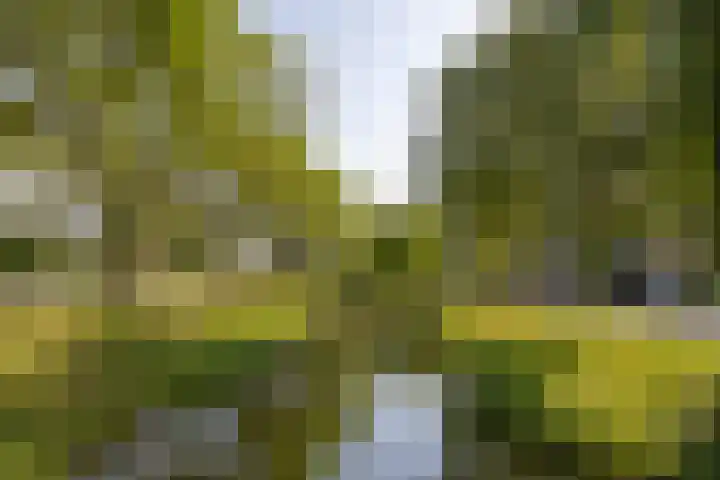 Rosmolen 4 Alphen aan den Rijn thumbnail 31