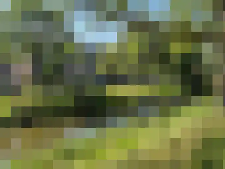 Rosmolen 4 Alphen aan den Rijn thumbnail 32