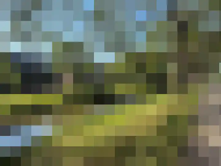 Rosmolen 4 Alphen aan den Rijn thumbnail 33