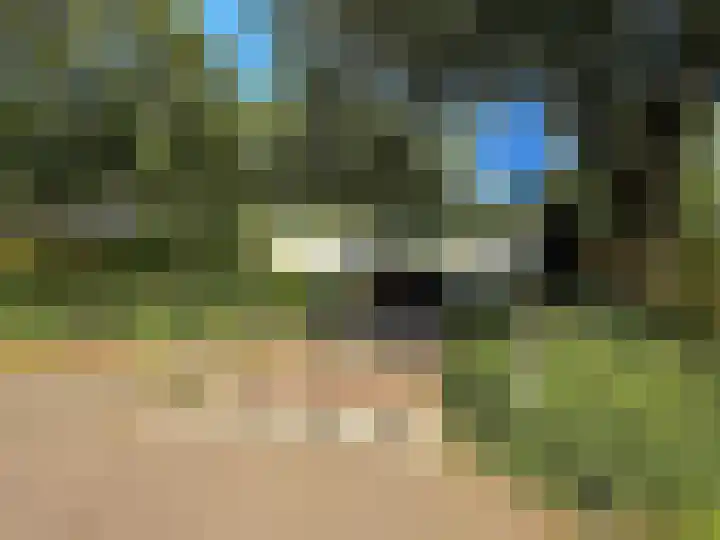 Rosmolen 4 Alphen aan den Rijn thumbnail 34