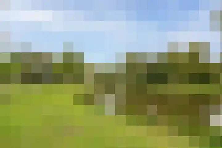Rosmolen 4 Alphen aan den Rijn thumbnail 37