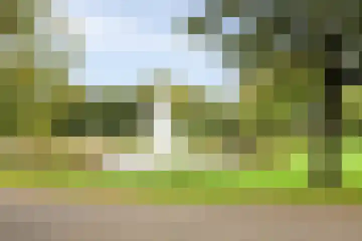 Rosmolen 4 Alphen aan den Rijn thumbnail 38