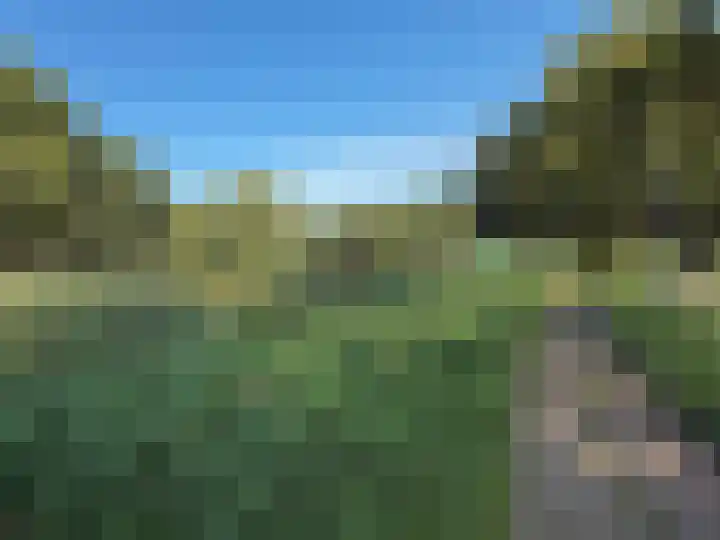Rosmolen 4 Alphen aan den Rijn thumbnail 39