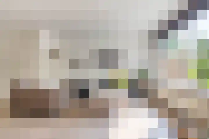 Rosmolen 4 Alphen aan den Rijn thumbnail 4