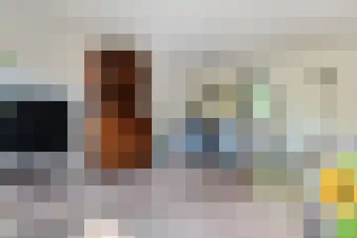 Rosmolen 4 Alphen aan den Rijn thumbnail 5