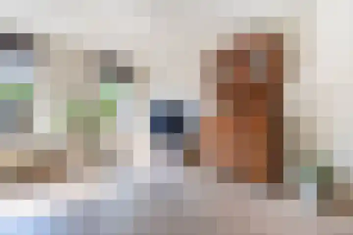 Rosmolen 4 Alphen aan den Rijn thumbnail 6