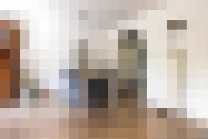 Rosmolen 4 Alphen aan den Rijn thumbnail 7