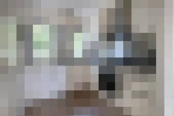 Rosmolen 4 Alphen aan den Rijn thumbnail 8