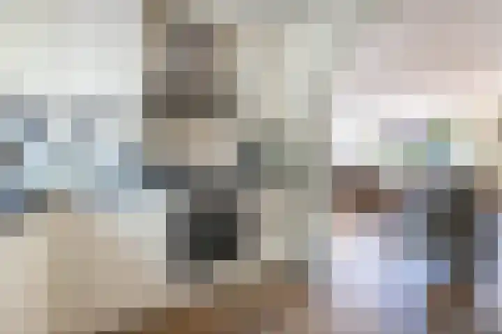 Rosmolen 4 Alphen aan den Rijn thumbnail 9