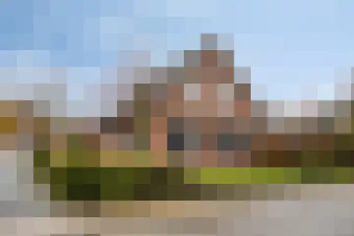 Rosmolen 41 en de Lutte
