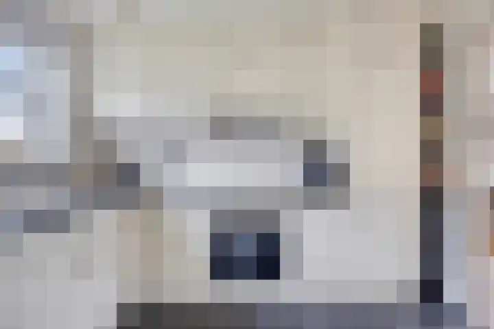Rosmolen 41 de Lutte thumbnail 11