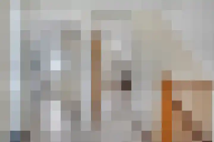 Rosmolen 41 de Lutte thumbnail 15