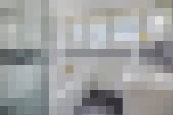 Rosmolen 41 de Lutte thumbnail 17