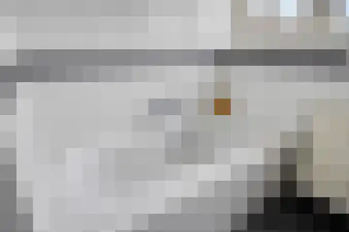 Rosmolen 41 de Lutte thumbnail 18