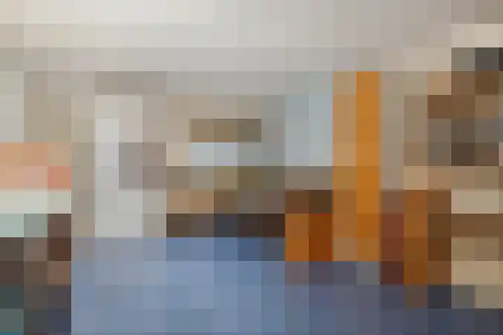 Rosmolen 41 de Lutte thumbnail 24