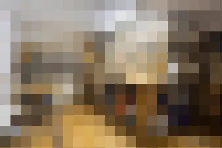 Rosmolen 41 de Lutte thumbnail 26