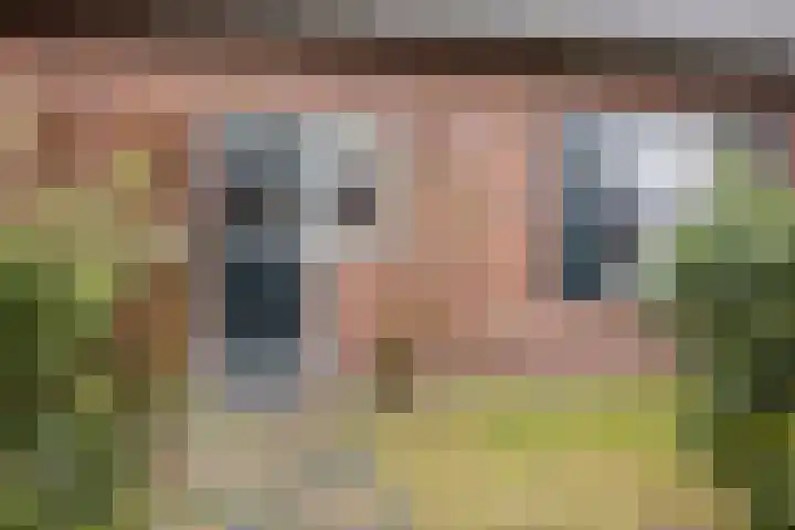 Rosmolen 41 de Lutte thumbnail 29