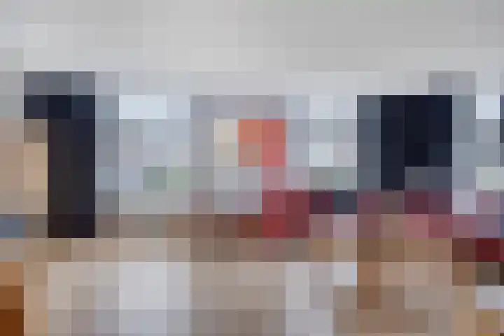 Rosmolen 41 de Lutte foto 3