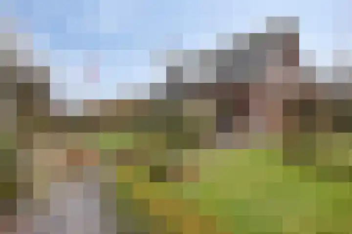 Rosmolen 41 de Lutte thumbnail 32