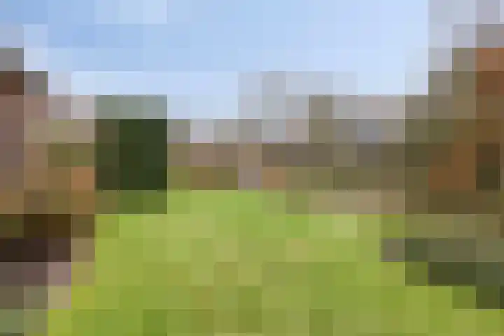 Rosmolen 41 de Lutte thumbnail 34