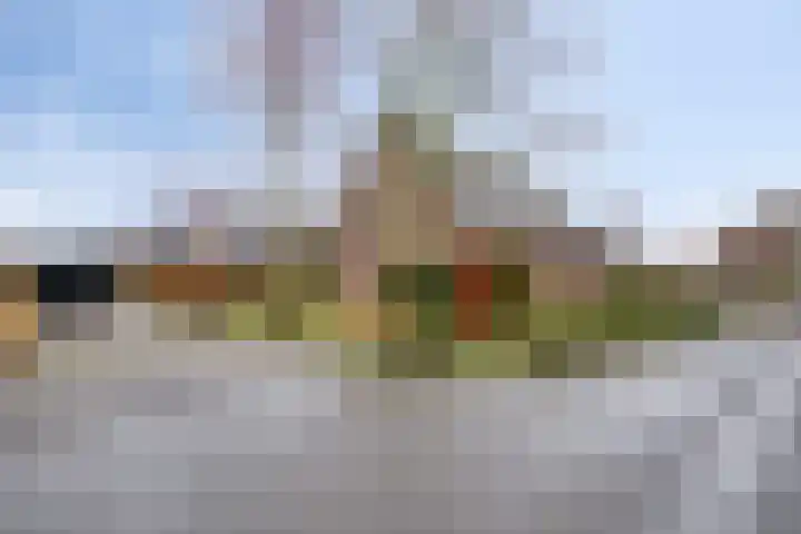 Rosmolen 41 de Lutte thumbnail 37
