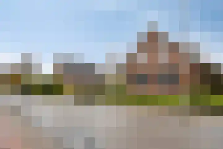 Rosmolen 41 de Lutte thumbnail 39