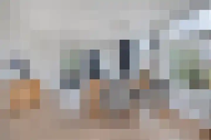 Rosmolen 41 de Lutte thumbnail 5