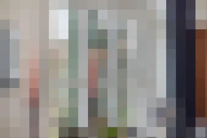 Rosmolen 41 de Lutte thumbnail 6