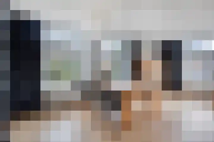Rosmolen 41 de Lutte thumbnail 7