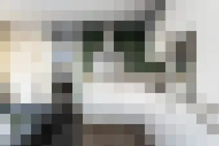 Rosmolen 41 Ridderkerk thumbnail 15