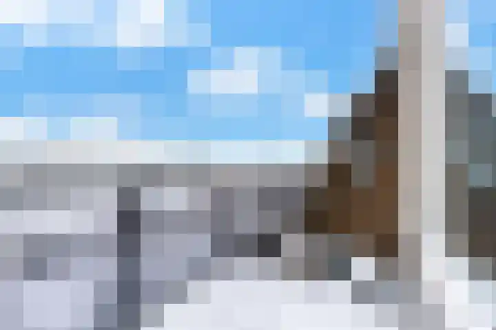 Rosmolen 41 Ridderkerk thumbnail 18