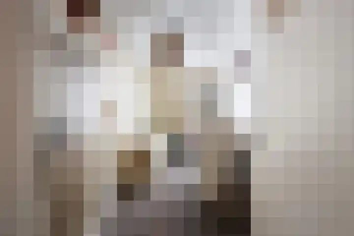 Rosmolen 41 Ridderkerk thumbnail 23