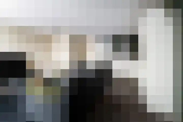 Rosmolen 41 Ridderkerk thumbnail 8