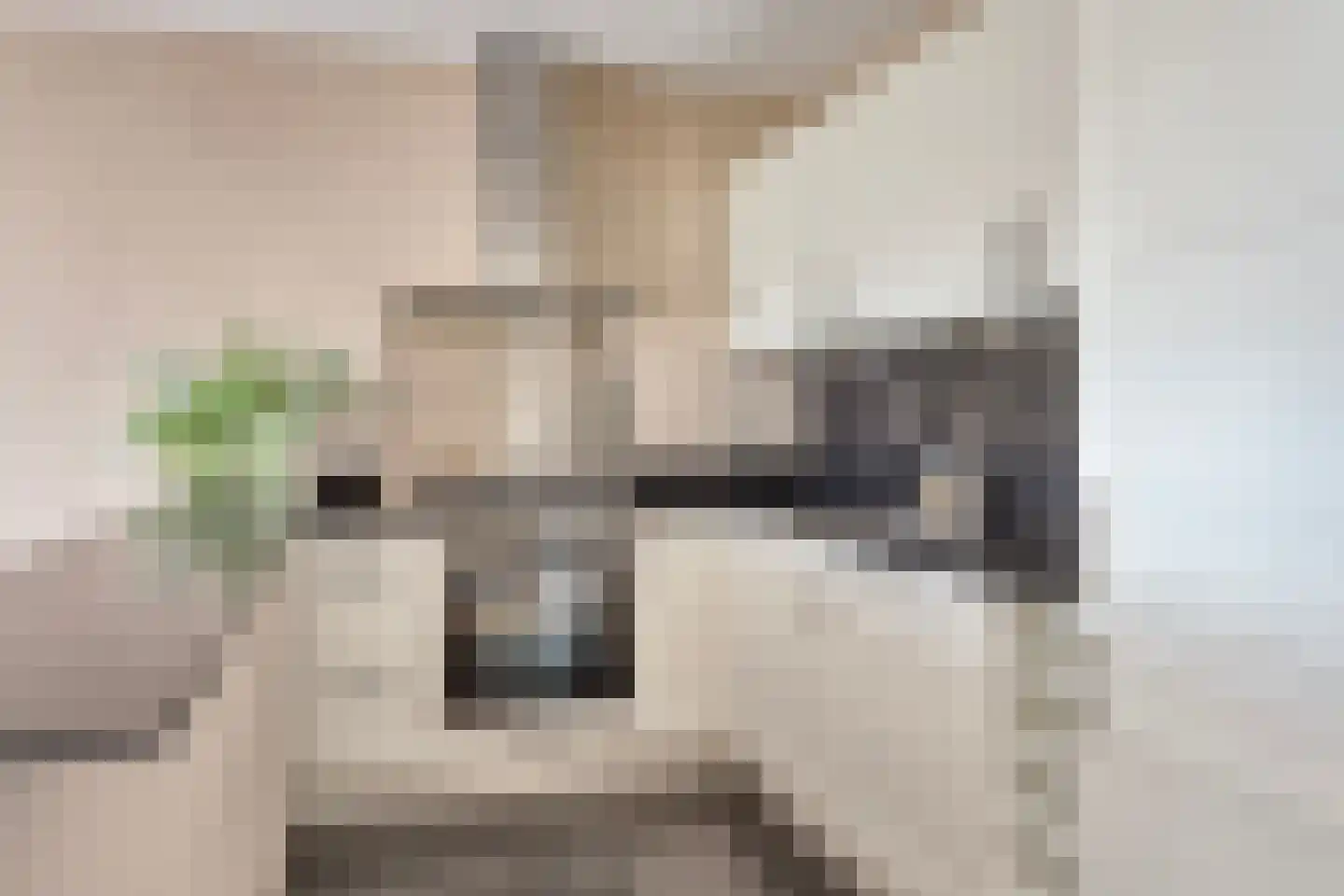 Rosmolen 43 Alphen aan den Rijn thumbnail 15