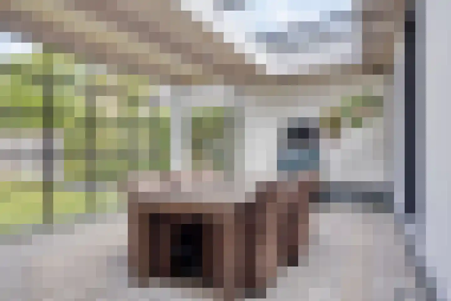 Rosmolen 47 de Lutte thumbnail 11
