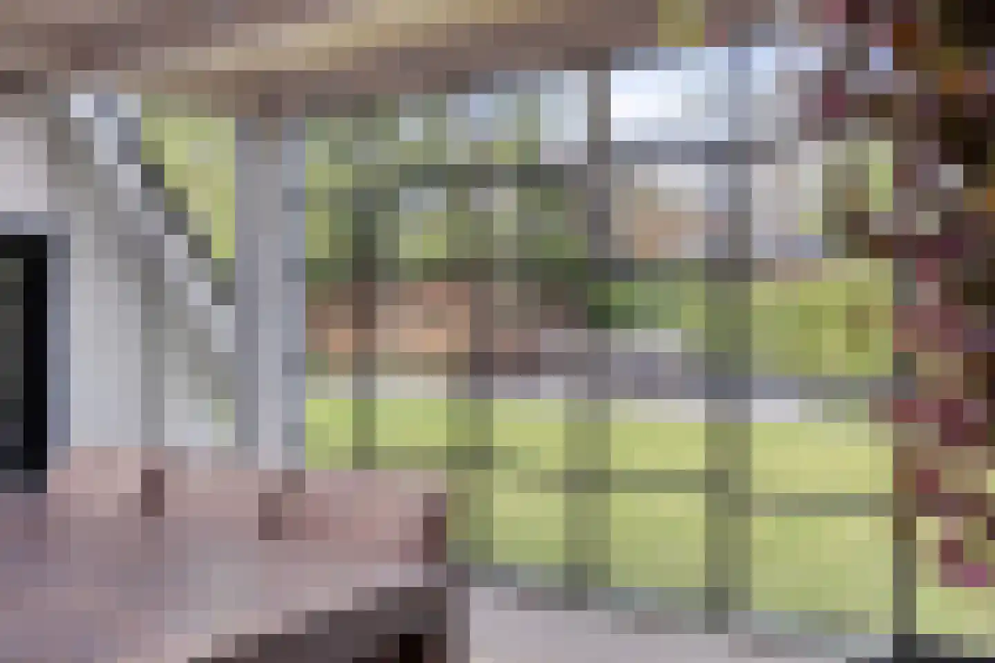 Rosmolen 47 de Lutte thumbnail 13