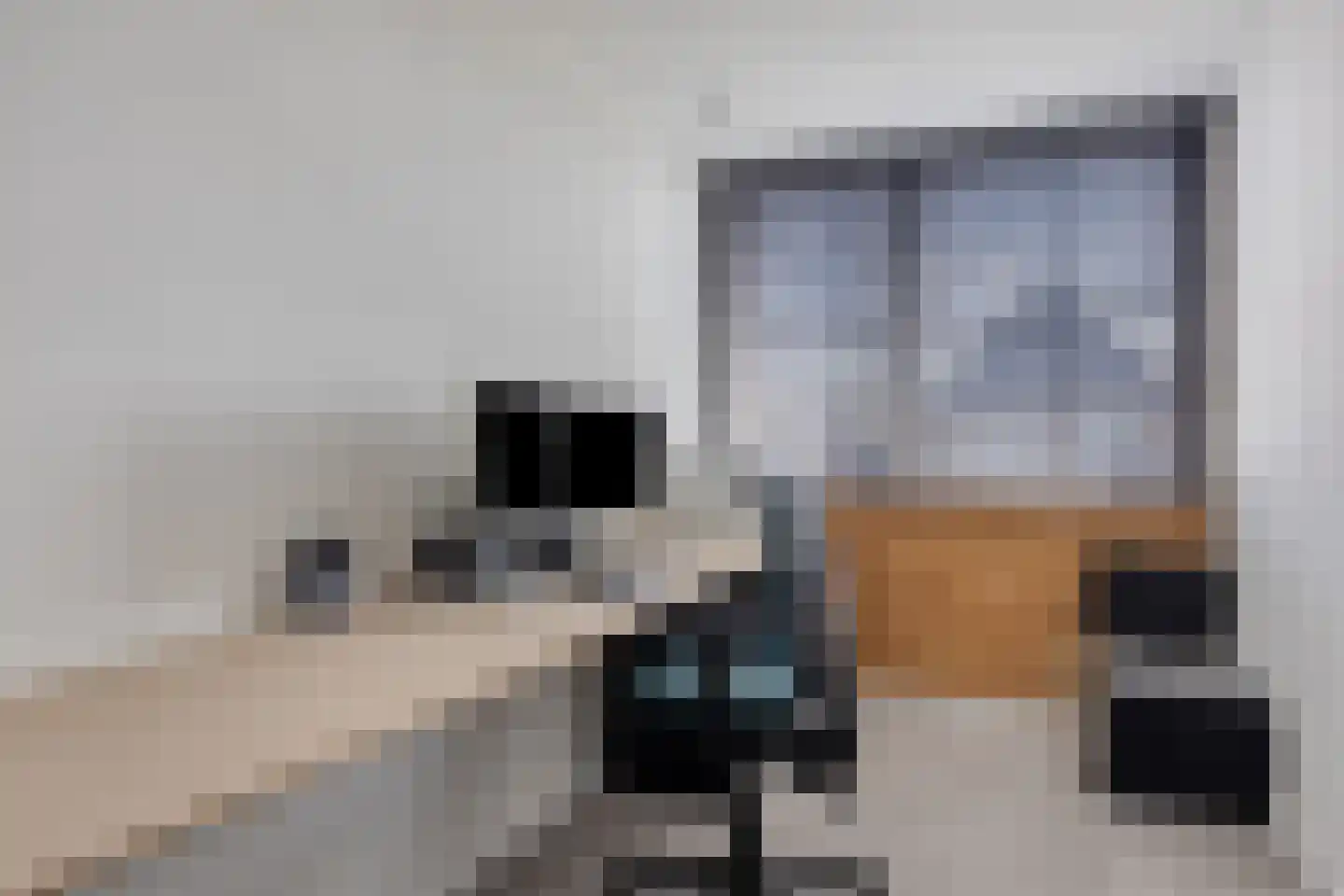 Rosmolen 47 de Lutte thumbnail 27