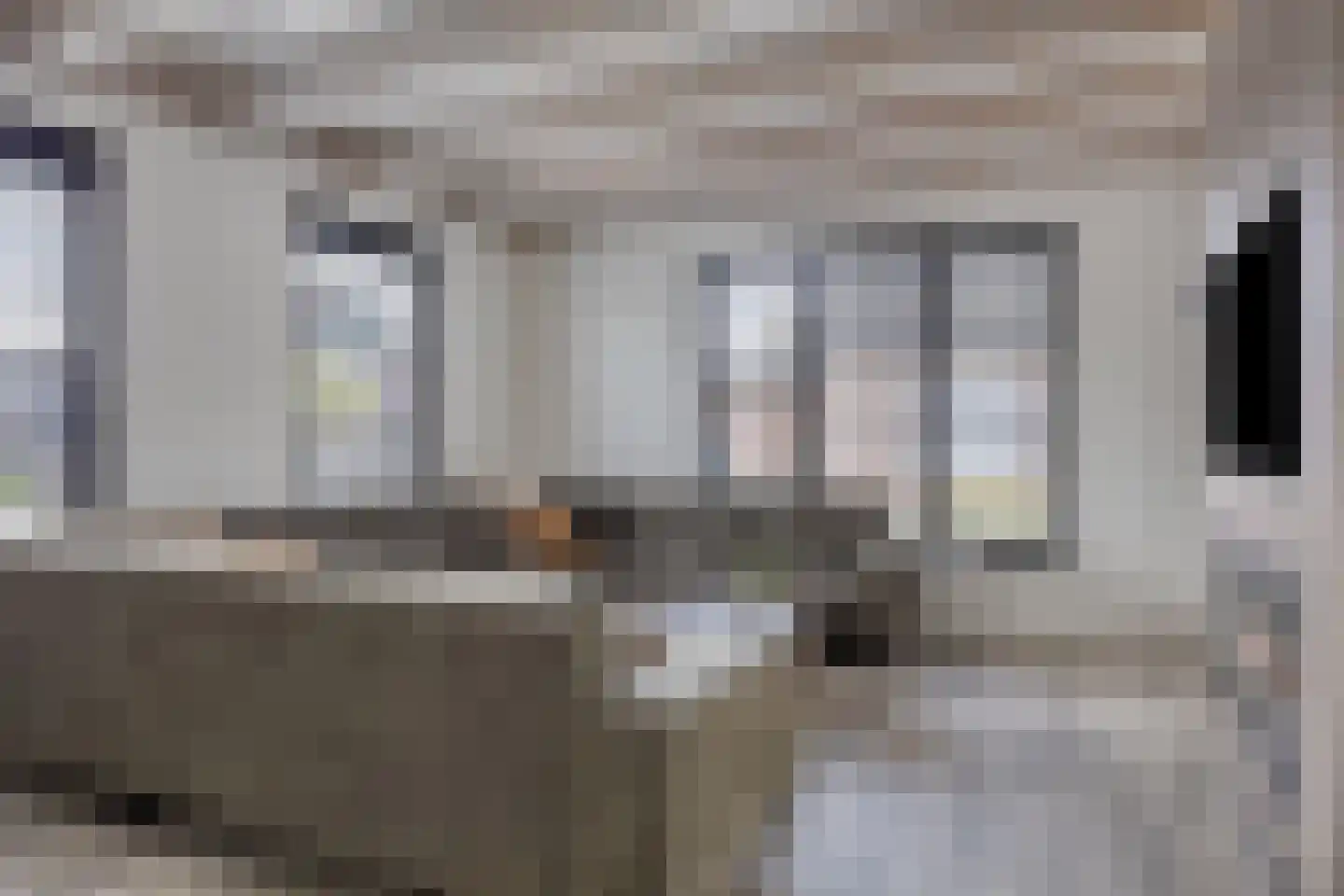 Rosmolen 47 de Lutte foto 3