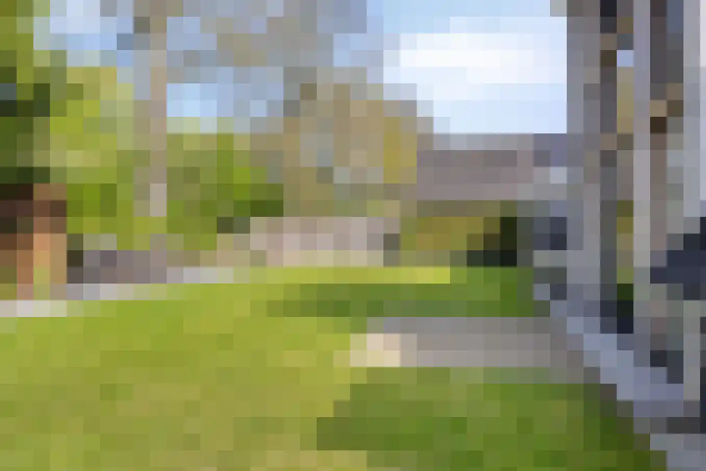 Rosmolen 47 de Lutte thumbnail 34