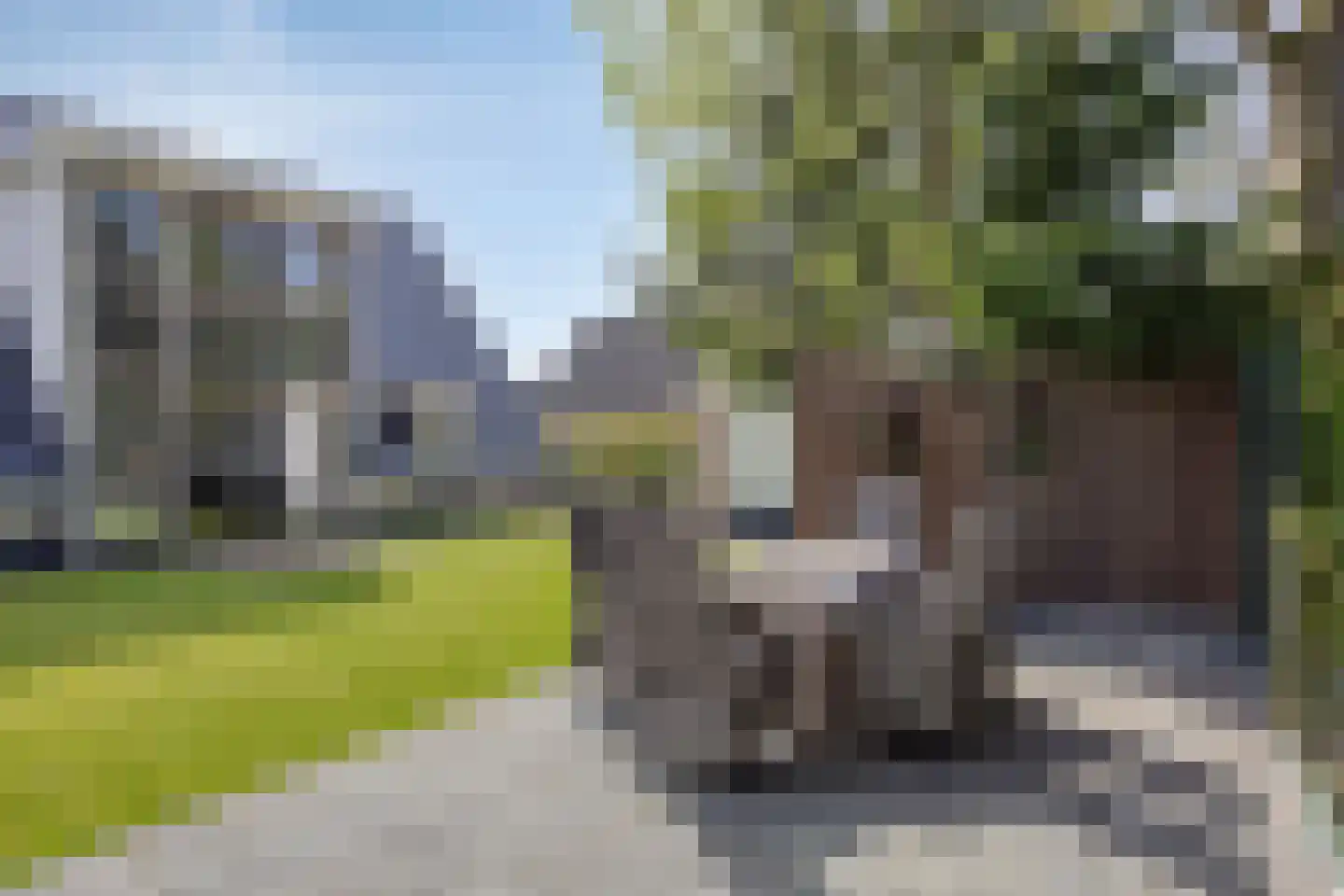 Rosmolen 47 de Lutte thumbnail 36