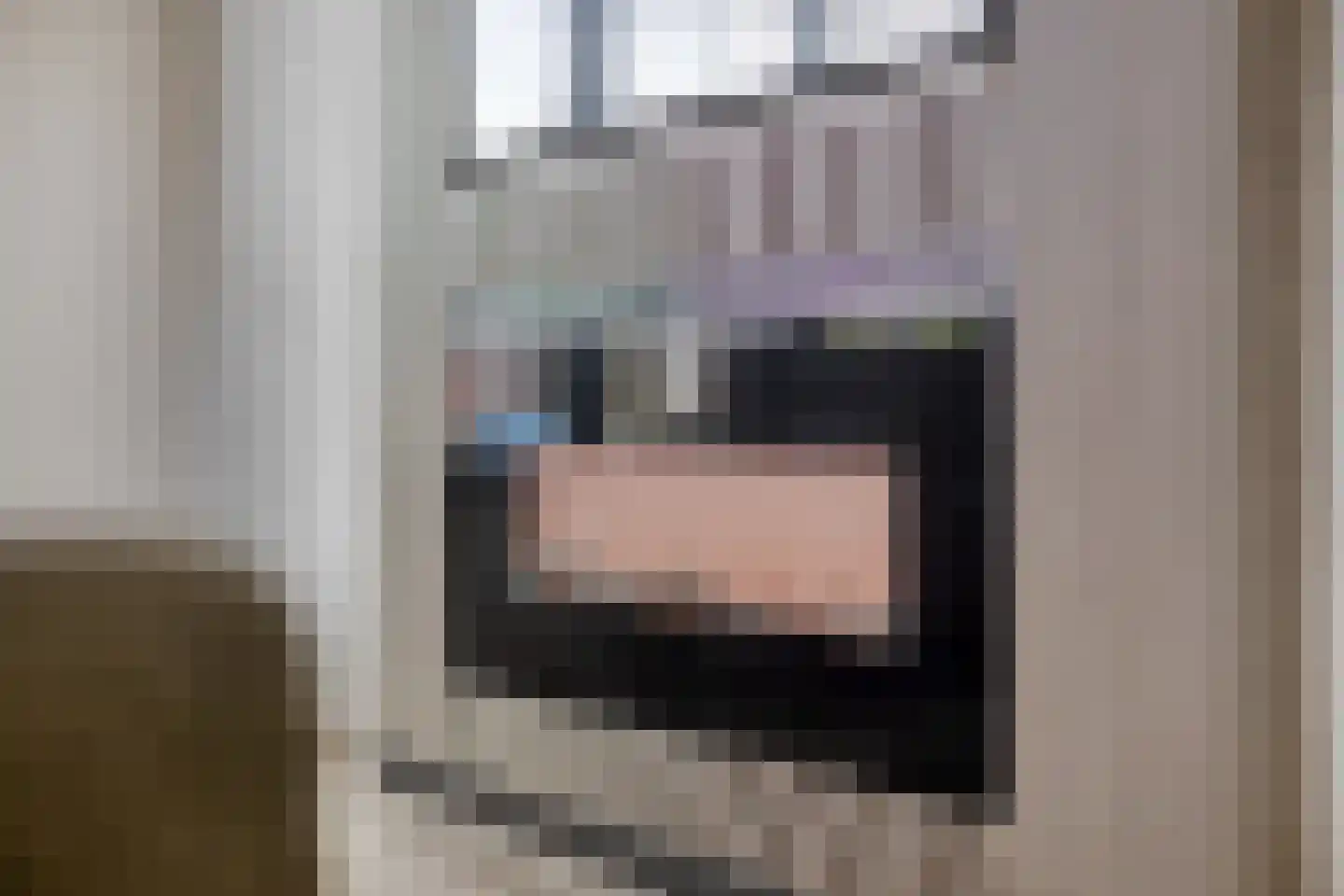 Rosmolen 47 de Lutte thumbnail 5
