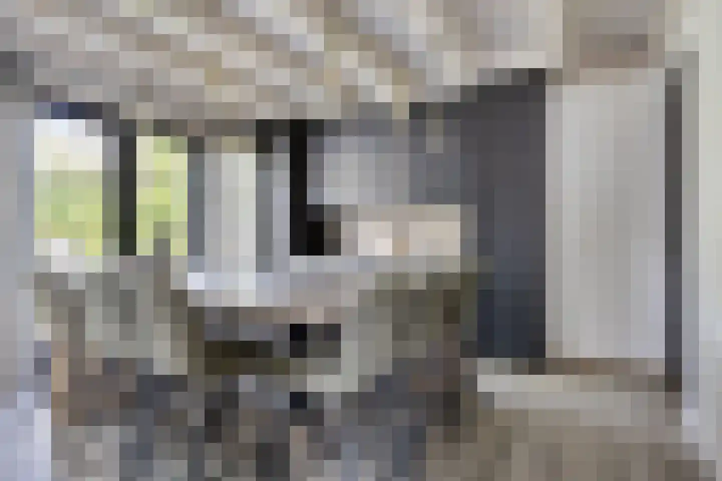 Rosmolen 47 de Lutte thumbnail 6