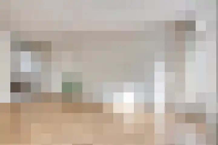 Rosmolen 47 Heerhugowaard thumbnail 11