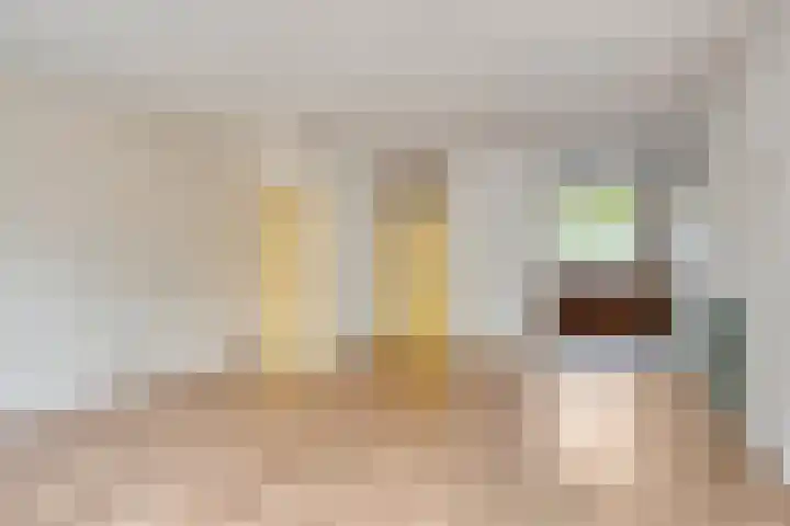 Rosmolen 47 Heerhugowaard thumbnail 12