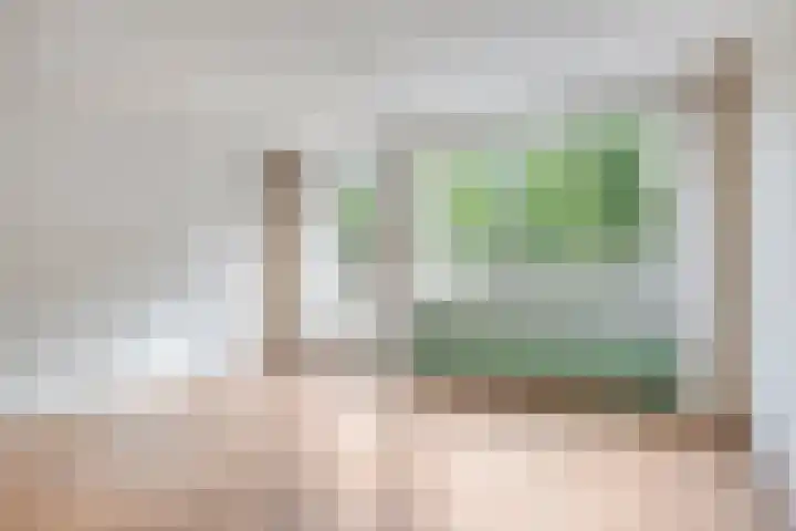 Rosmolen 47 Heerhugowaard thumbnail 13
