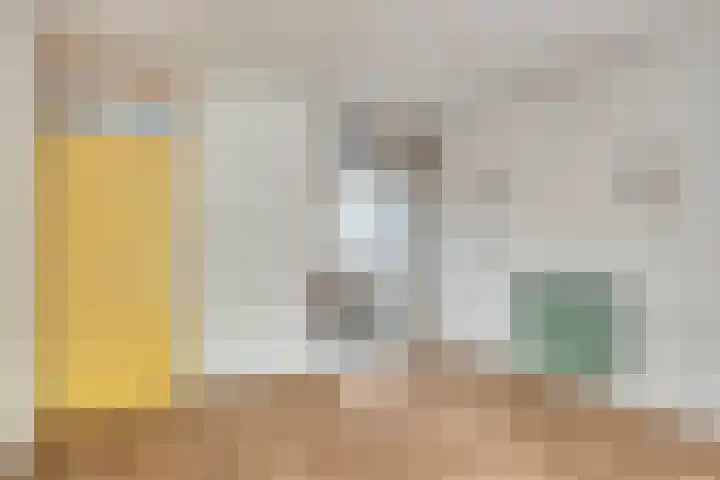 Rosmolen 47 Heerhugowaard thumbnail 14